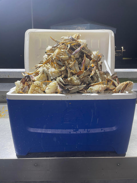 Lester's Patriot Crab Cage Pot With Anti Escape Fingers