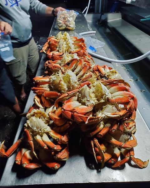Lester's Patriot Crab Cage Pot With Anti Escape Fingers