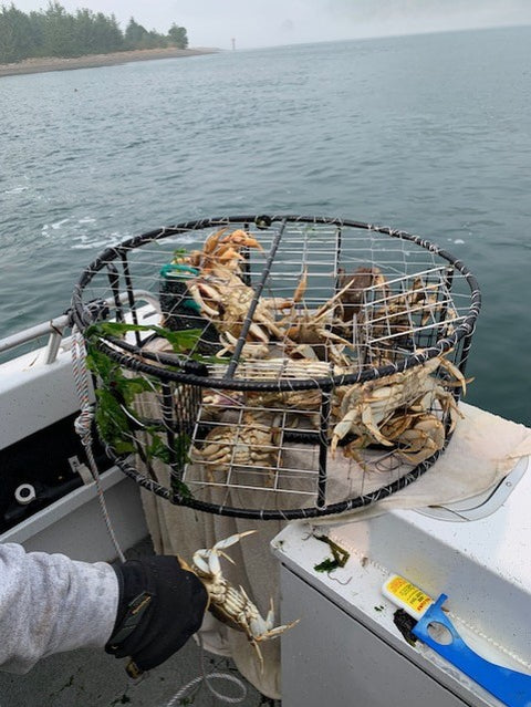 Lester's Independence Crab Pot