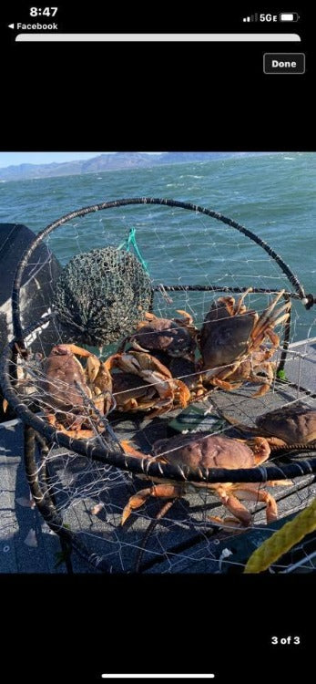 Lester's Independence Crab Pot