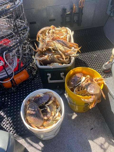 Lester's Independence Crab Pot