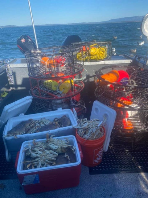 Lester's Independence Crab Pot