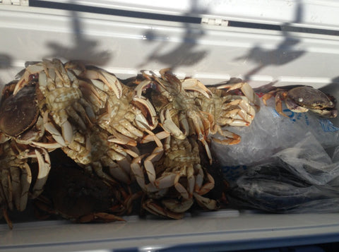 Lester's Independence Crab Pot